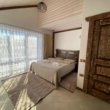 Vip рокита Mykulychyn