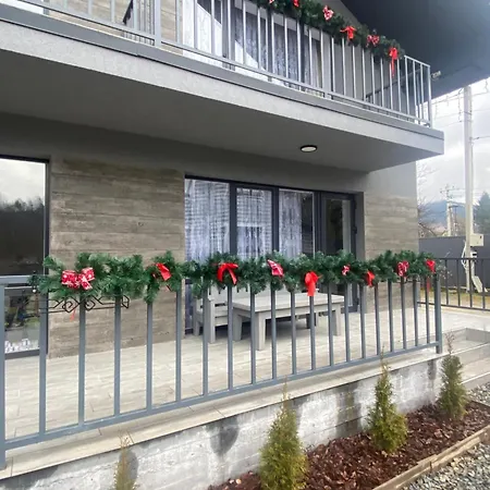 Vip рокита Mykulychyn