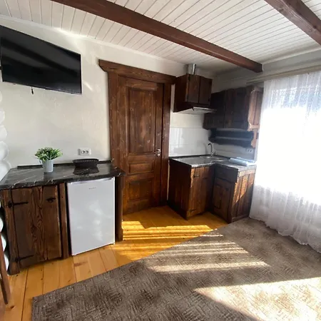 Vip рокита Apartment Mykulychyn
